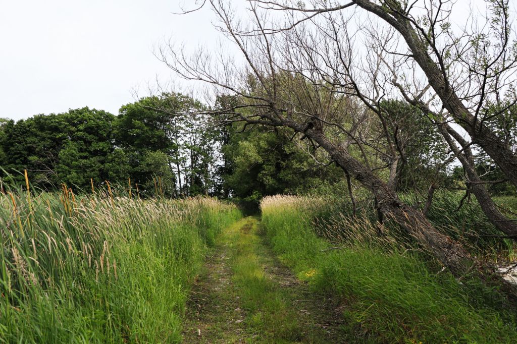 The Grief of Your&nbsp;Twenties